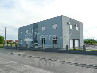 Hall, Lease, Sveta Nedelja, Orešje