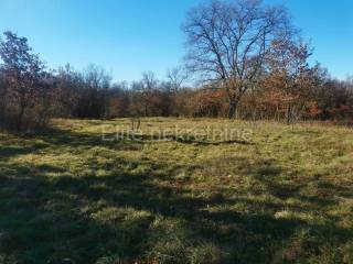 Arable land, Sale, Vrsar, Vrsar