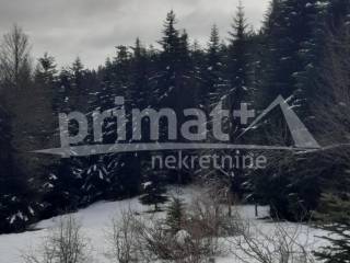 Agricultural plot, Sale, Ravna gora, Stari Laz