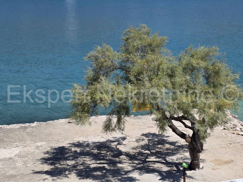 Marina, Vinisce