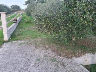 Agricultural plot, Sale, Zadar - Okolica, Kožino