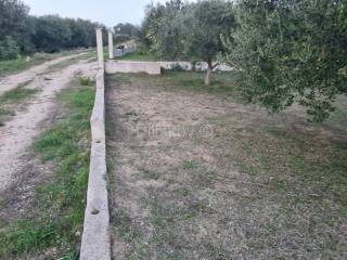 Agricultural plot, Sale, Zadar - Okolica, Kožino