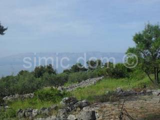 Agricultural plot, Sale, Jelsa, Zastražišće