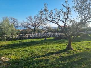 Agricultural plot, Sale, Kaštela, Kaštel Novi