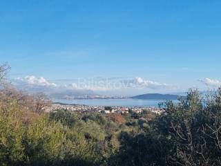 Agricultural plot, Sale, Kaštela, Kaštel Novi