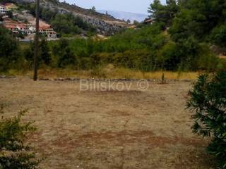 Agricultural plot, Sale, Jelsa, Jelsa
