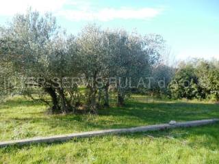 Samostojeca kuca, Prodaja, Šibenik, Šibenik