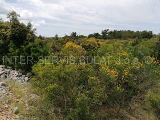 Agricultural plot, Sale, Šibenik, Šibenik