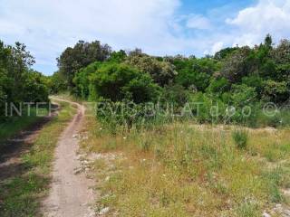 Agricultural plot, Sale, Šibenik, Šibenik