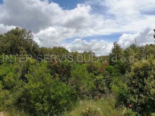Agricultural plot, Sale, Šibenik, Šibenik
