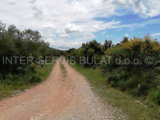 Agricultural plot, Sale, Šibenik, Šibenik