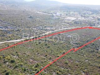Agricultural plot, Sale, Jasenice, Jasenice