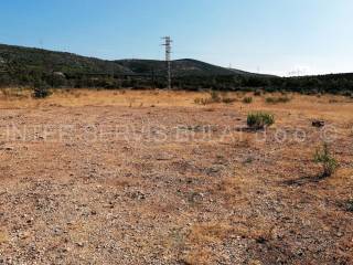 Agricultural plot, Sale, Šibenik - Okolica, Dubrava Kod Šibenika