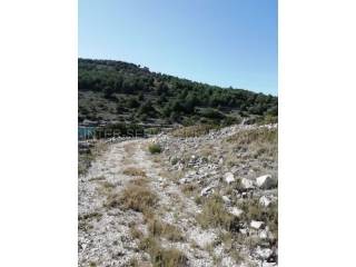 Agricultural plot, Sale, Šibenik - Okolica, Žirje