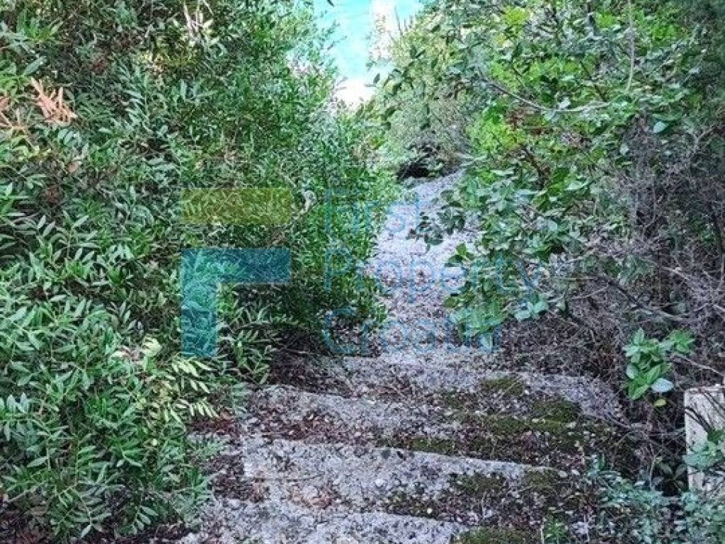Samostojeca kuca, Prodaja, Dubrovnik, Dubrovnik