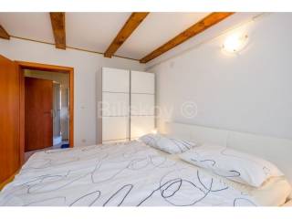Detached house, Sale, Plaški, Janja Gora