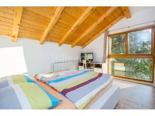 Detached house, Sale, Plaški, Janja Gora