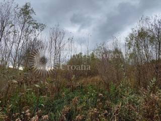 Agricultural plot, Sale, Rakovica, Rakovica