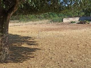 Plot for construction, Sale, Poličnik, Briševo