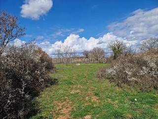 Plot for construction, Sale, Barban, Manjadvorci