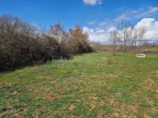 Plot for construction, Sale, Barban, Manjadvorci