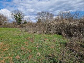 Plot for construction, Sale, Barban, Manjadvorci