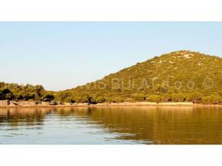 Agricultural plot, Sale, Murter, Murter