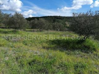 Agricultural plot, Sale, Skradin, Dubravice