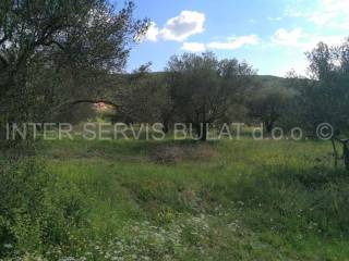 Agricultural plot, Sale, Skradin, Dubravice