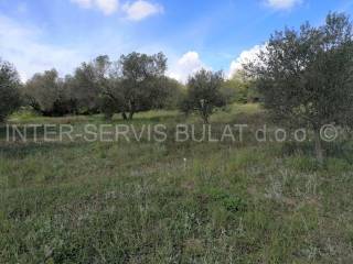 Agricultural plot, Sale, Skradin, Dubravice