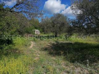 Agricultural plot, Sale, Skradin, Dubravice
