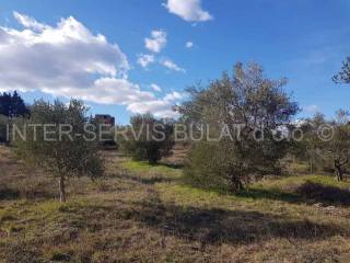 Agricultural plot, Sale, Skradin, Dubravice