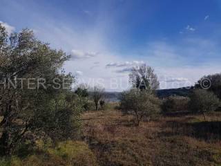 Agricultural plot, Sale, Skradin, Dubravice