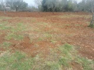 Agricultural plot, Sale, Ližnjan, Šišan