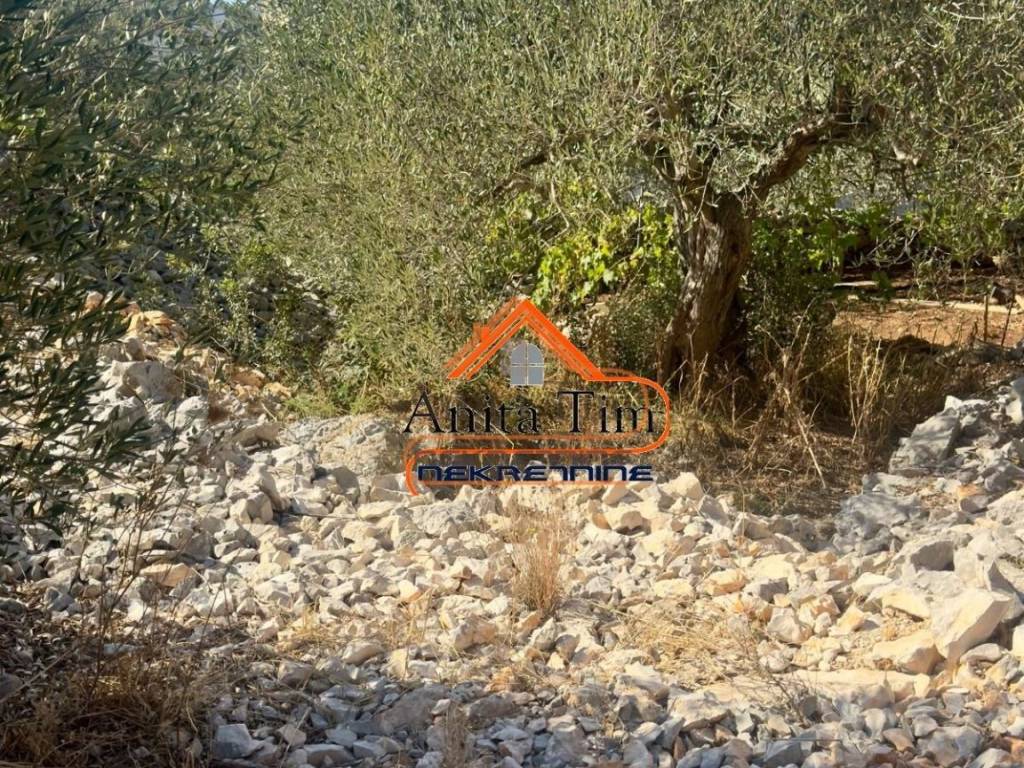 Gradjevinsko zemljiste, Prodaja, Rogoznica, Razanj