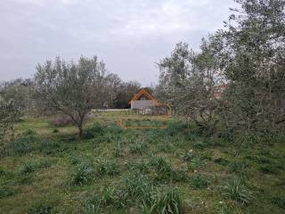 Gradjevinsko stambeno zemljiste, Prodaja, Policnik, Brisevo