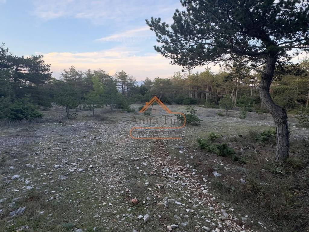 Poljoprivredno zemljiste, Prodaja, Nerezisca, Nerezisca