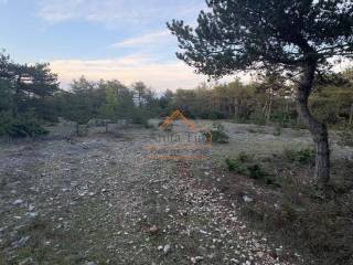 Poljoprivredno zemljiste, Prodaja, Nerezisca, Nerezisca