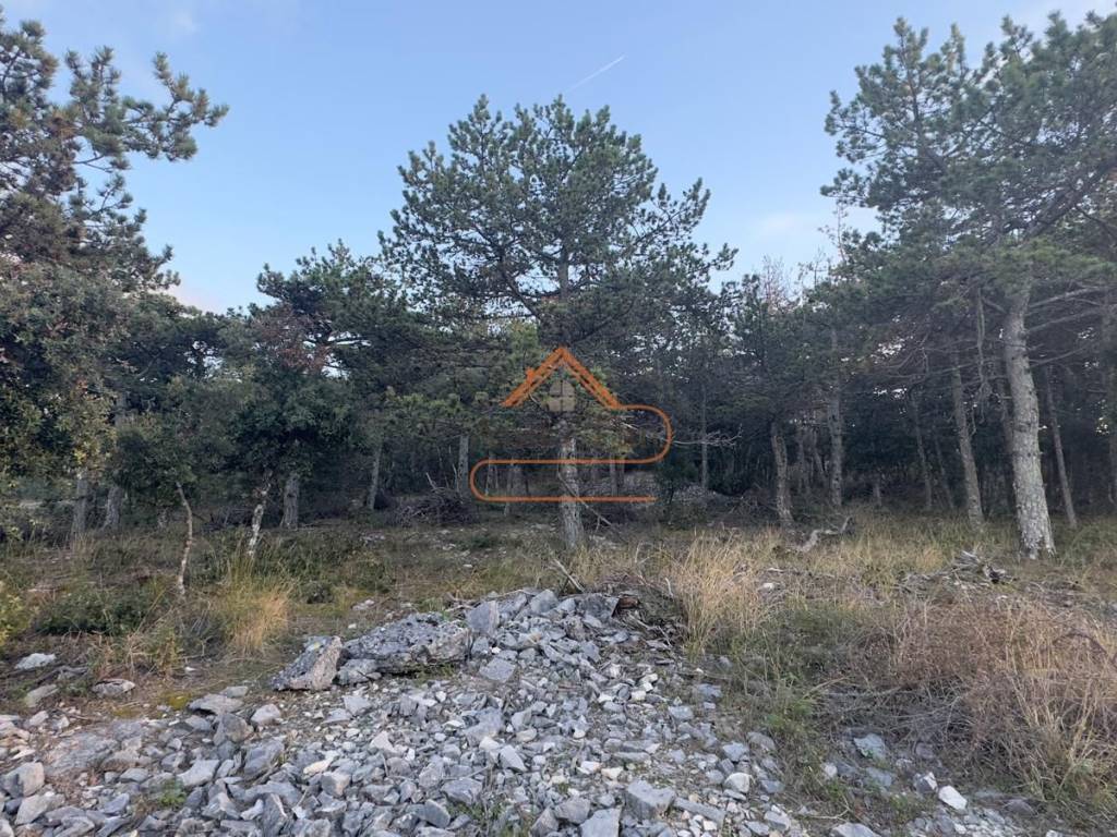 Poljoprivredno zemljiste, Prodaja, Nerezisca, Nerezisca