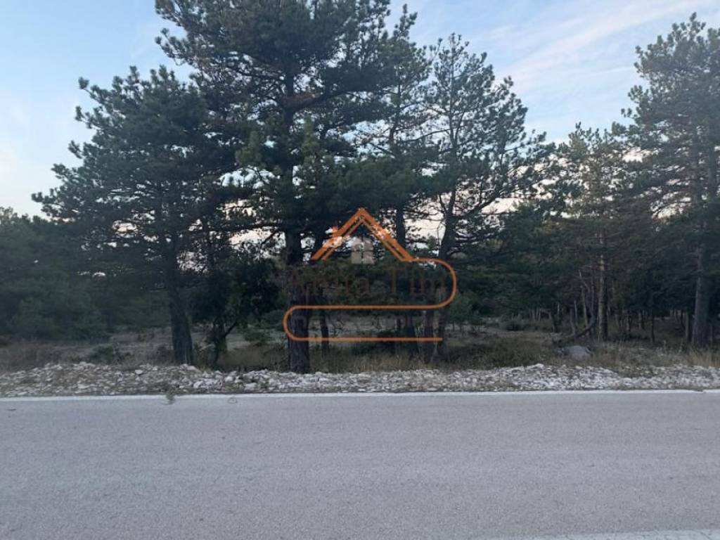 Poljoprivredno zemljiste, Prodaja, Nerezisca, Nerezisca