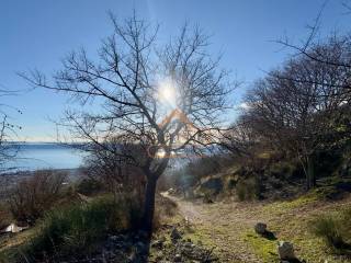 Poljoprivredno zemljiste, Prodaja, Kastela, Kastel Luksic