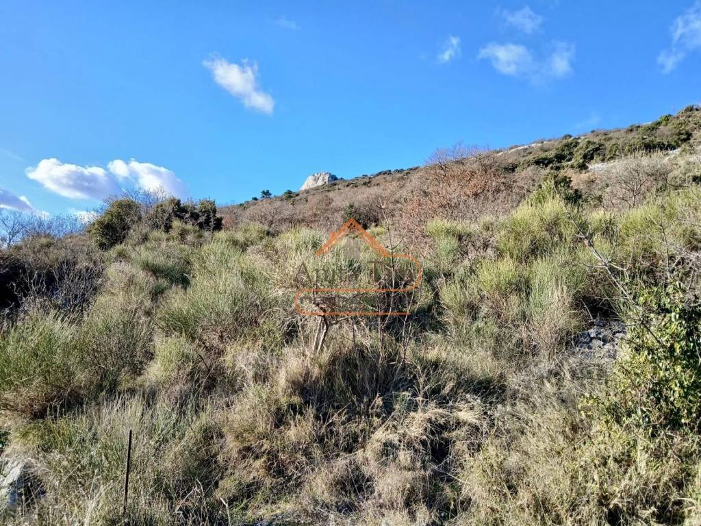 Poljoprivredno zemljiste, Prodaja, Kastela, Kastel Luksic