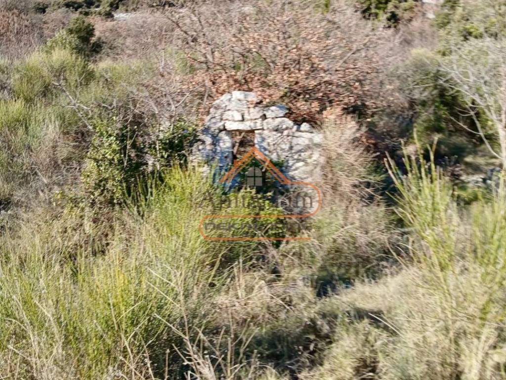Poljoprivredno zemljiste, Prodaja, Kastela, Kastel Luksic