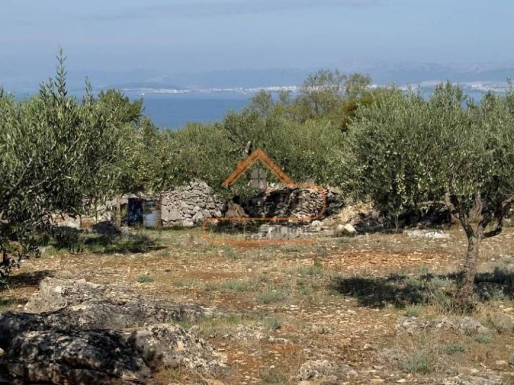 Poljoprivredno zemljiste, Prodaja, Postira, Postira