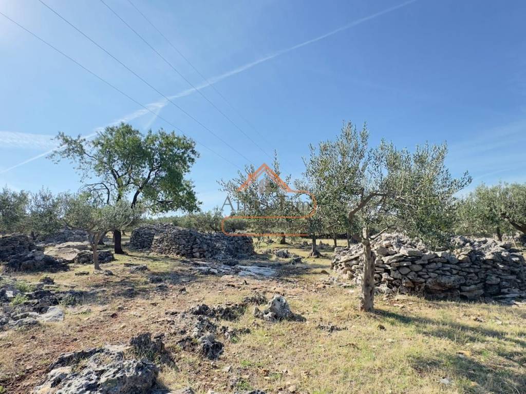 Poljoprivredno zemljiste, Prodaja, Postira, Postira
