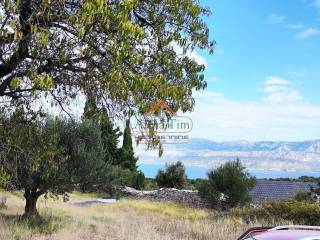 Poljoprivredno zemljiste, Prodaja, Supetar, Skrip