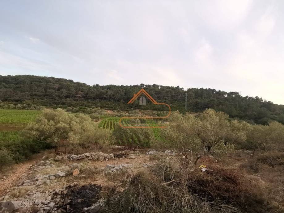 Gradjevinsko zemljiste, Prodaja, Korcula, Cara