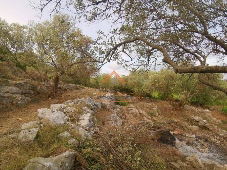 Gradjevinsko zemljiste, Prodaja, Korcula, Cara