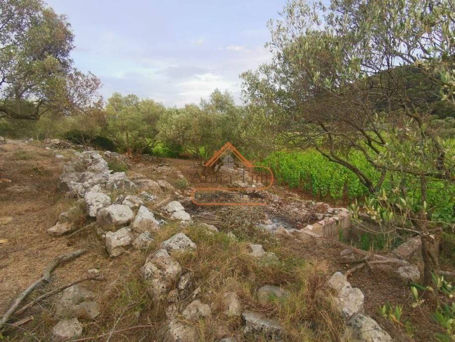 Gradjevinsko zemljiste, Prodaja, Korcula, Cara
