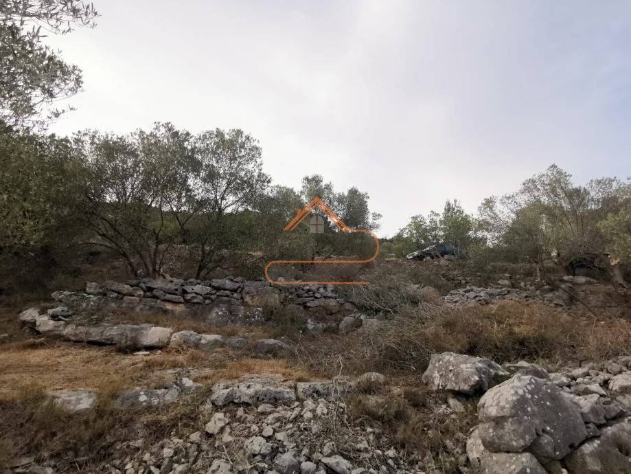 Gradjevinsko zemljiste, Prodaja, Korcula, Cara